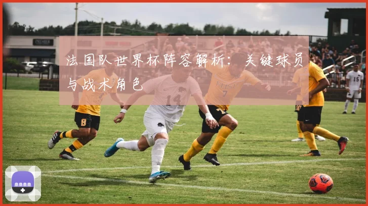 法国队世界杯阵容解析:关键球员与战术角色