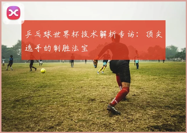 乒乓球世界杯技术解析专访：顶尖选手的制胜法宝