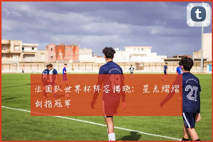 法国队世界杯阵容揭晓:星光熠熠剑指冠军