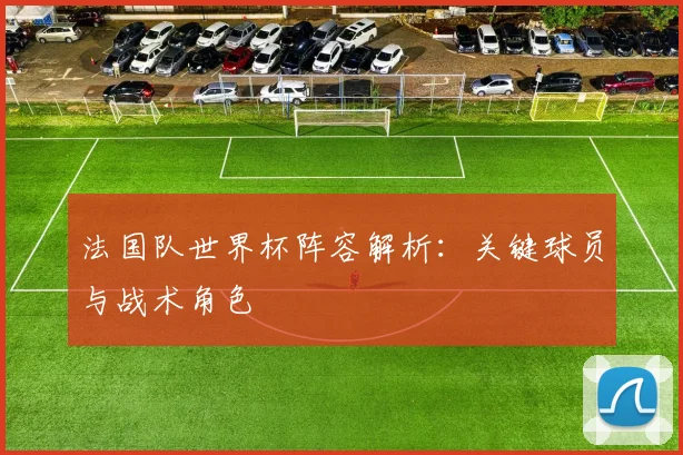 法国队世界杯阵容解析:关键球员与战术角色