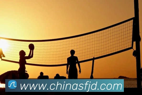 beat365最新网站链接平台生态图